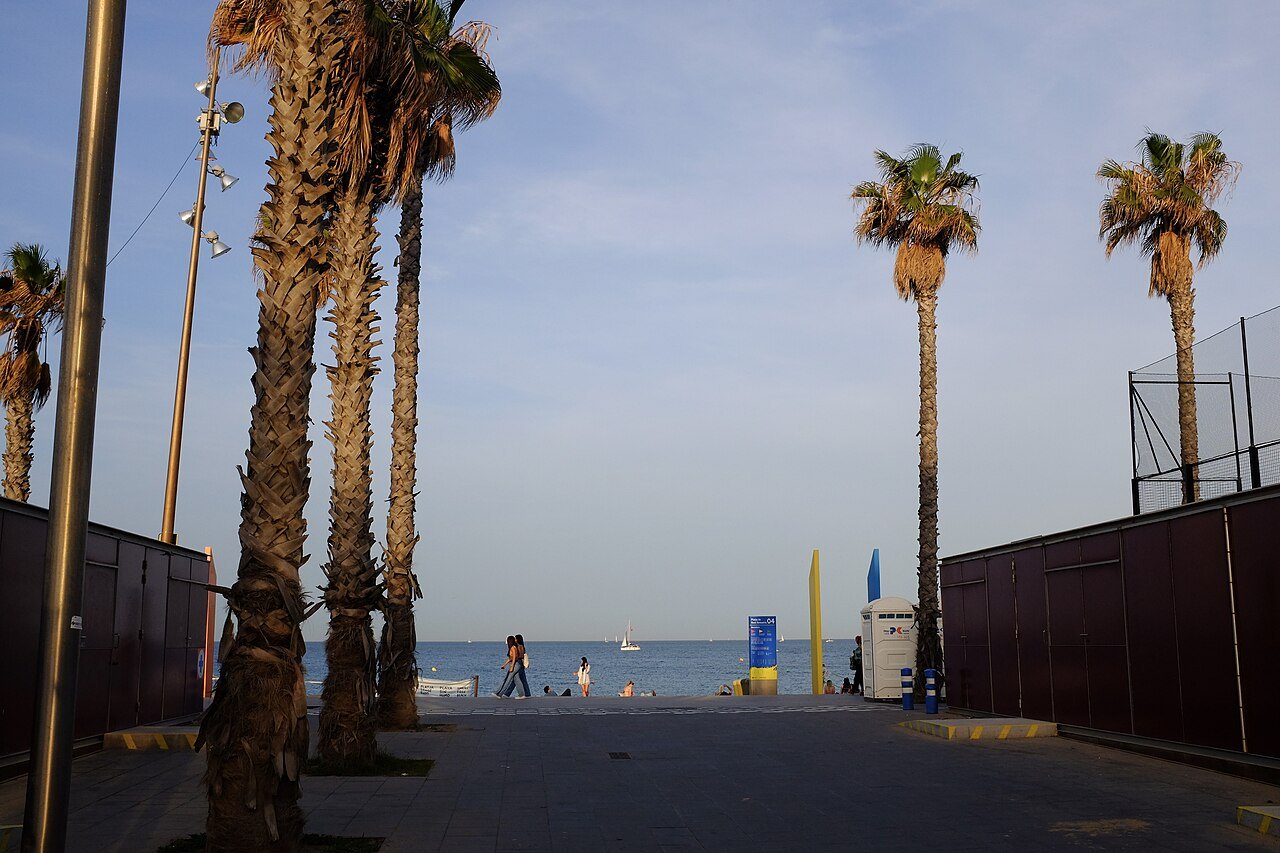 A passage of palms between fenced courts leading down to the sea.