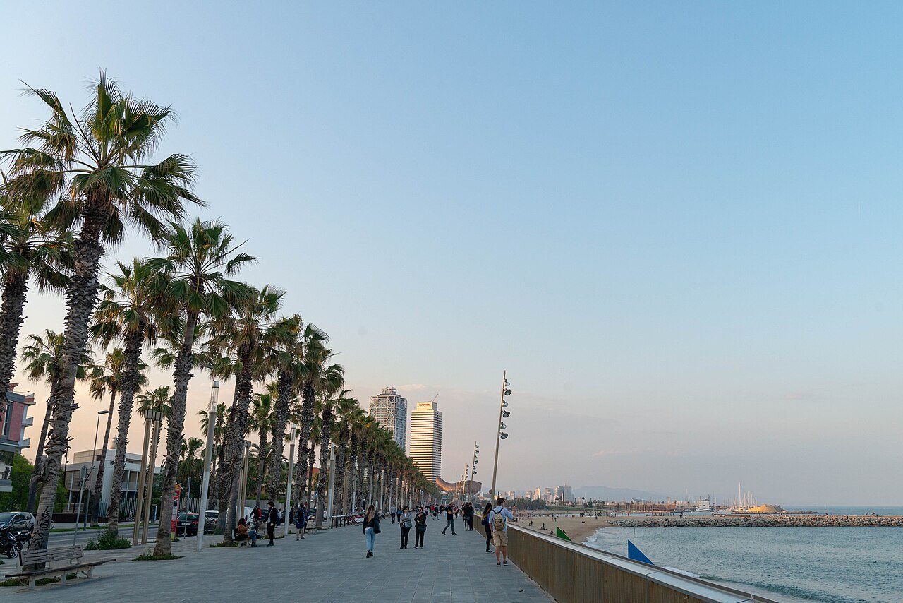 Walkers on the palm-lined boardwalk at the edge of the beach.
