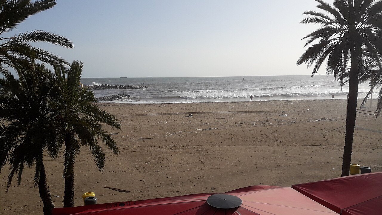 An empty stretch of the Somorrostro beach after a storm, with palm trees and the sea.