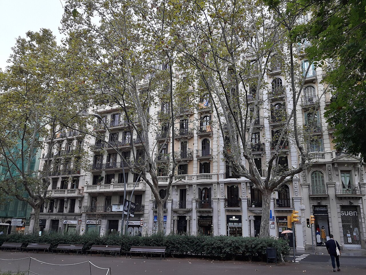 Plane trees in front of apartment buildings on the Passeig de Sant Joan.