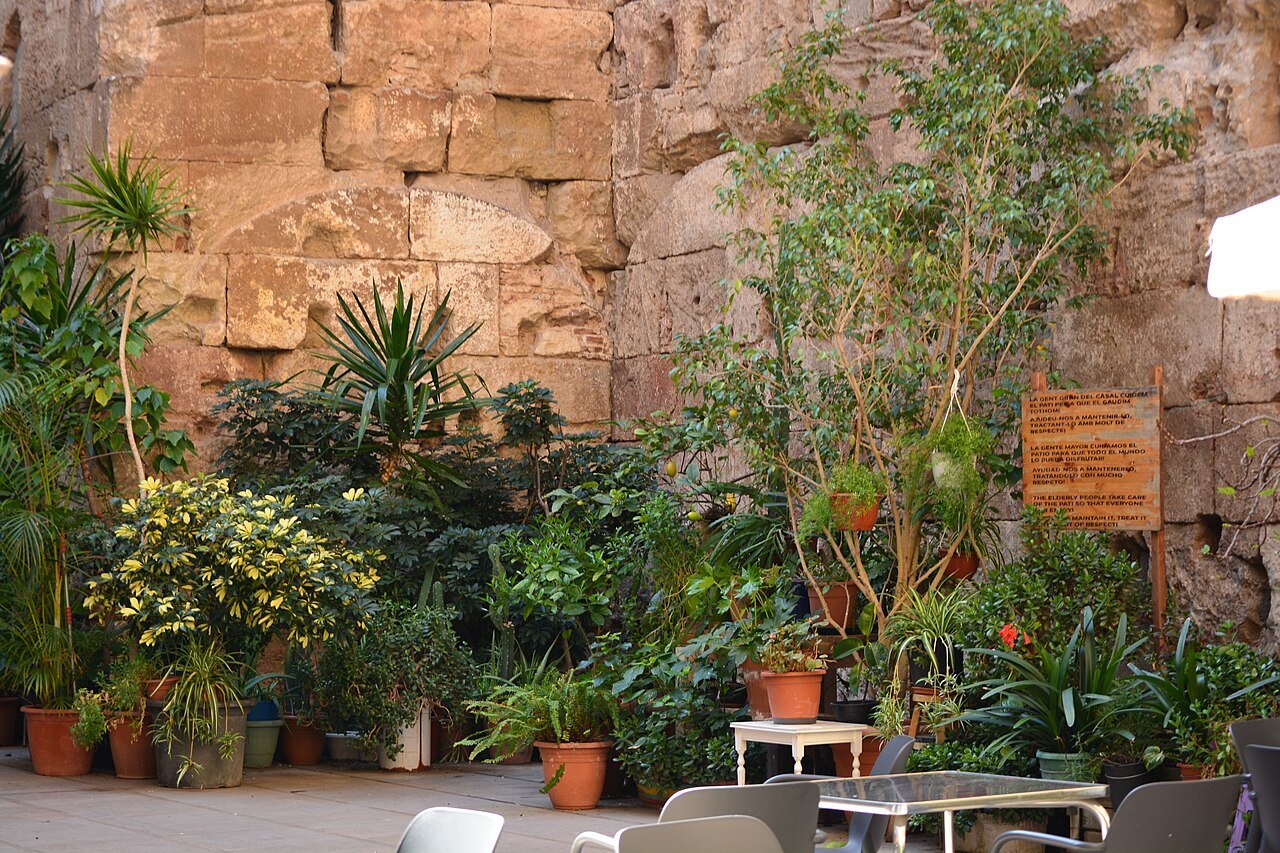 Potted plants in a small garden against a stretch of the old city wall.