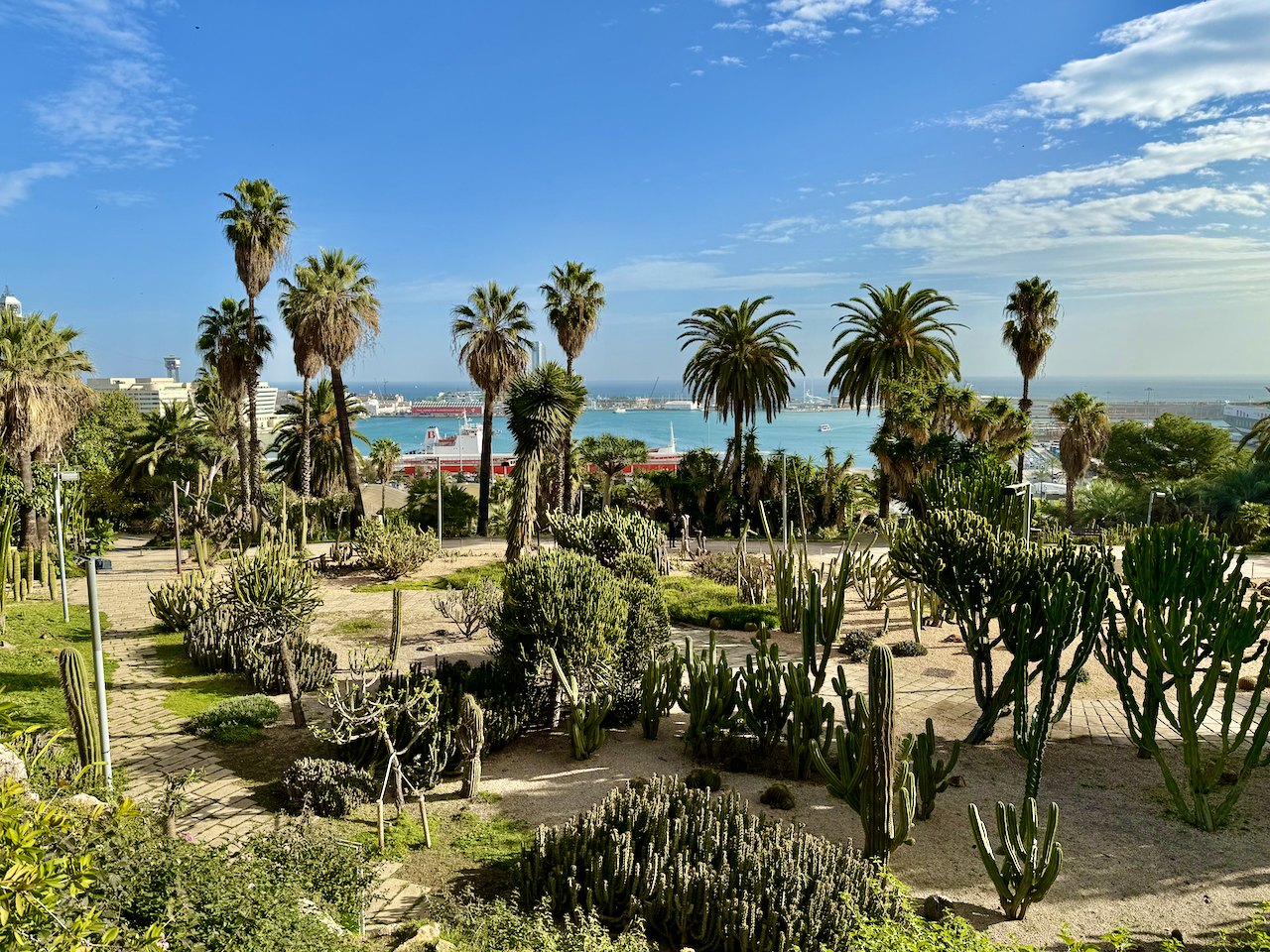 A garden of palms and cacti on the slope of Montjuïc, looking out to the harbor.