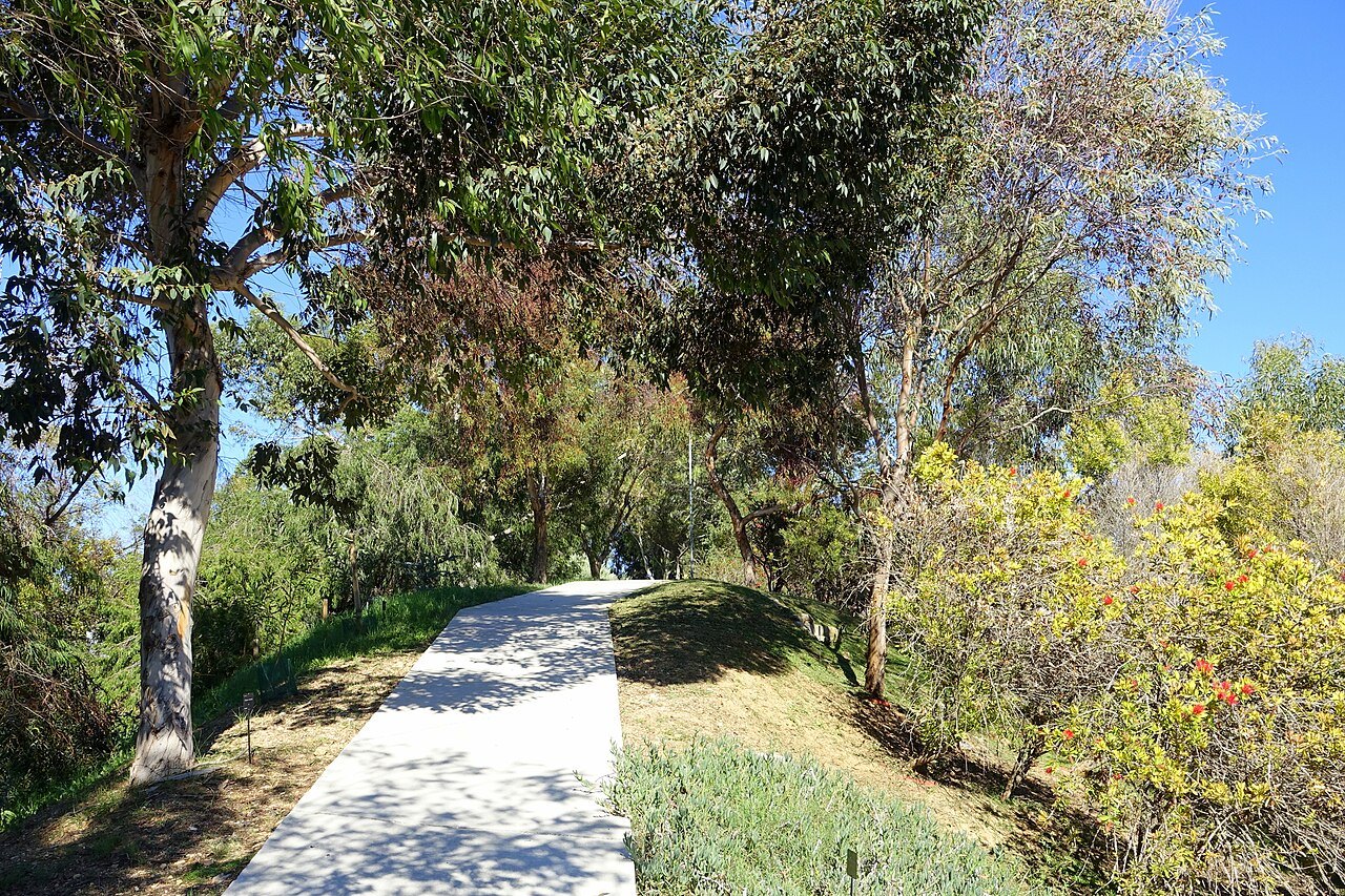 A shaded path through trees in the Botanical Garden on Montjuïc.