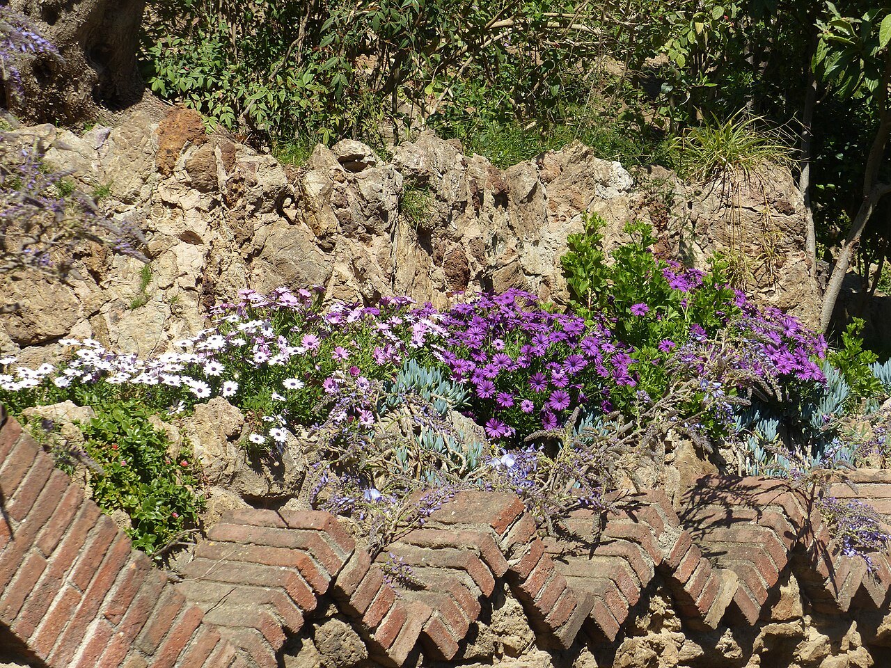 A rock garden of purple flowers above a wall of herringbone brick at Park Güell.