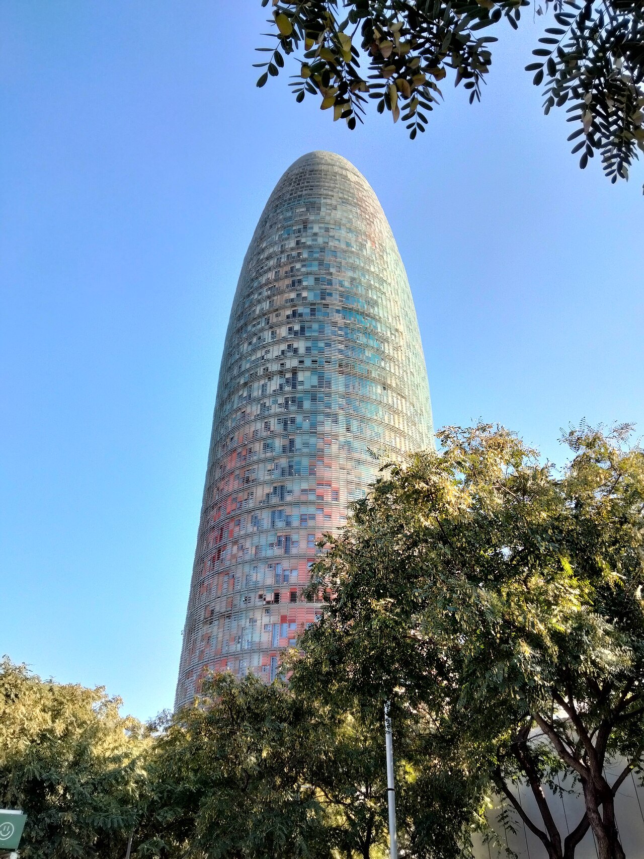 The Torre Glòries seen through trees.